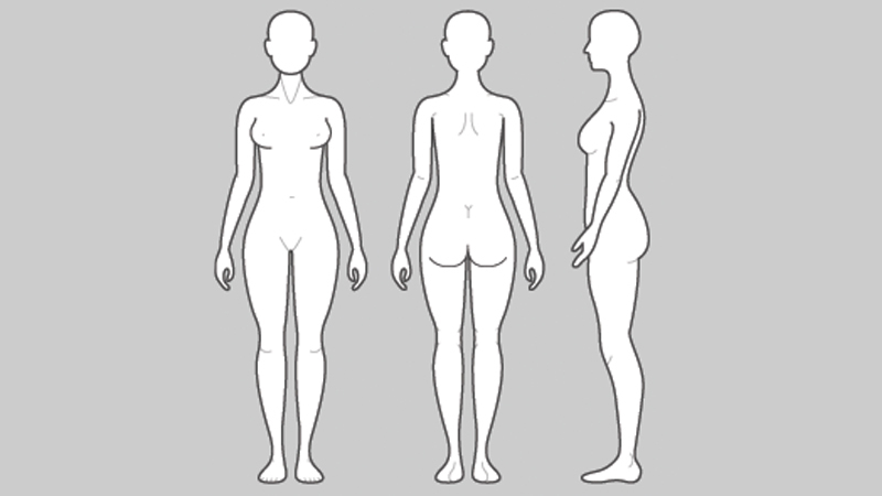 Female body map