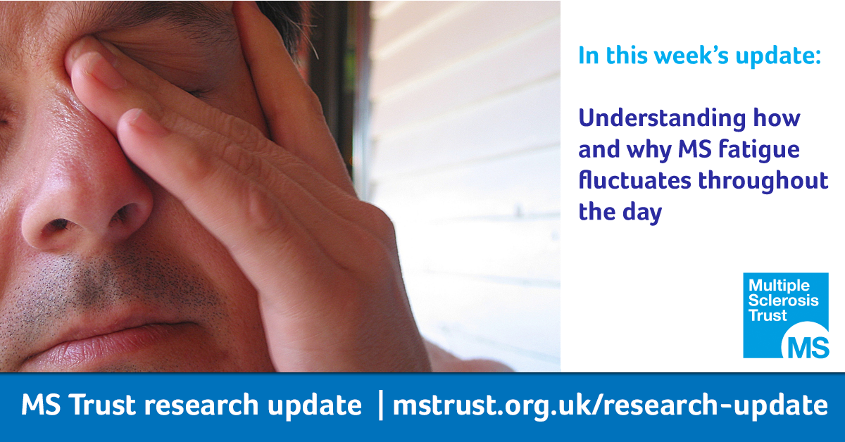 Understanding how and why MS fatigue fluctuates throughout the day